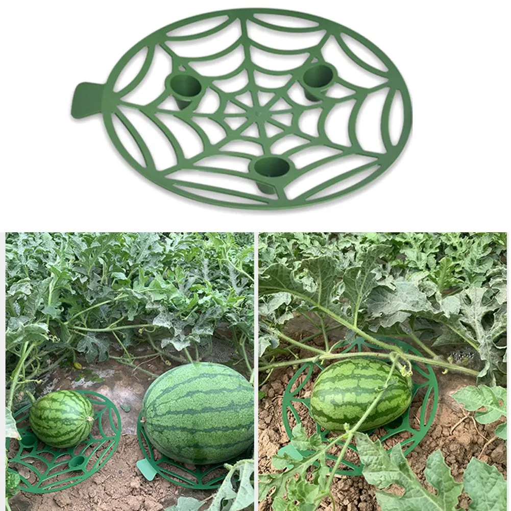 5/10pcs/Lot Watermelon Support Basket Vegetables Fruit Stand Support Basket Frame Holder Garden Vegetables Fruit Tools
5/10pcs/Lot Watermelon Support Basket Vegetables Fruit Stand Support Basket Frame Holder Garden Vegetables Fruit Tools