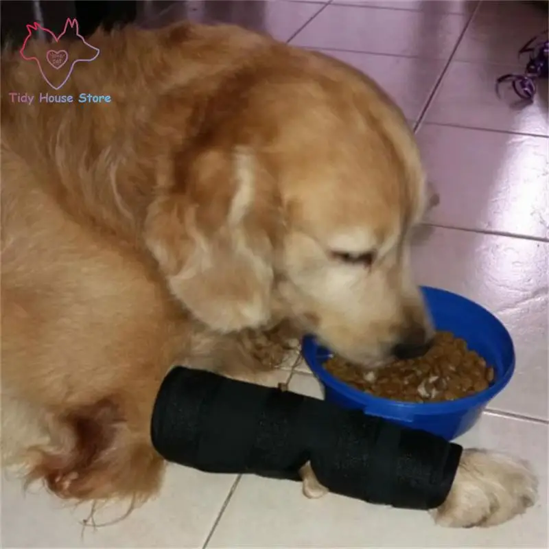2Pcs/lot Pet Knee Pads Dog Support Brace for Leg Hock Joint Wrap Breathable Injury Recover Legs Dog Protector Support
2Pcs/lot Pet Knee Pads Dog Support Brace for Leg Hock Joint Wrap Breathable Injury Recover Legs Dog Protector Support