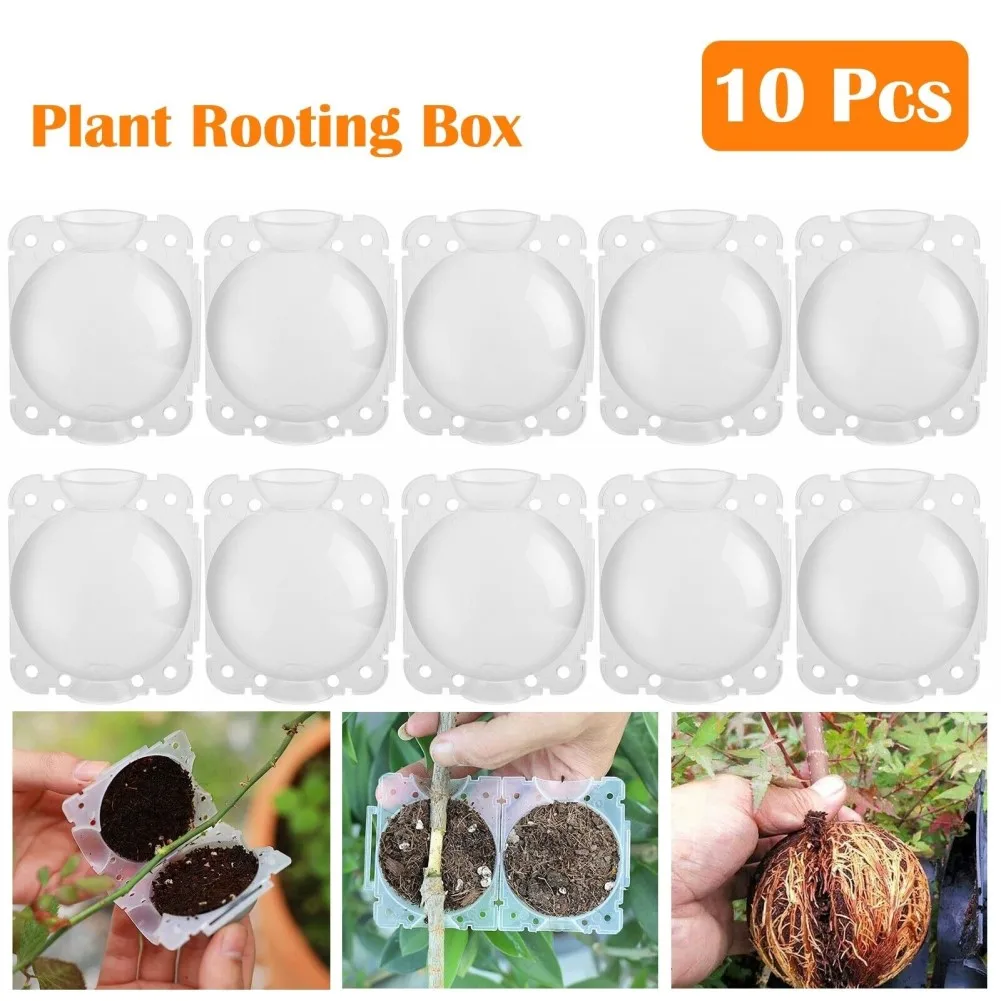 10pcs Plant Rooting Box High-Pressure Plant Propagation Box Growing Device Ball PP Plastic 8cm For Gardening Planting Supplies
10pcs Plant Rooting Box High-Pressure Plant Propagation Box Growing Device Ball PP Plastic 8cm For Gardening Planting Supplies