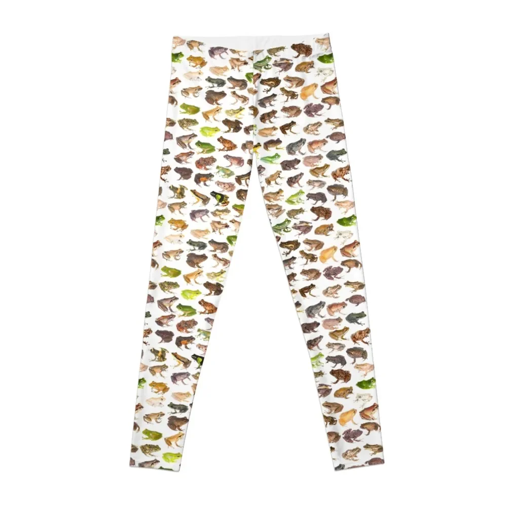 101 Frogs of Madagascar, First Edition Leggings sporty woman gym sports woman gym Female legging pants trousers Womens Leggings
101 Frogs of Madagascar, First Edition Leggings sporty woman gym sports woman gym Female legging pants trousers Womens Leggings