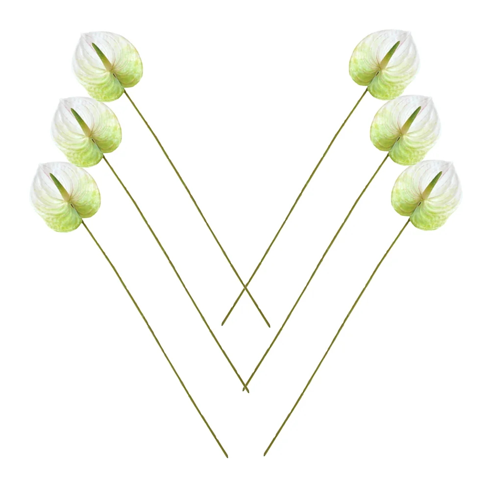 6pcs DIY Flower Bouquet Table Centerpieces Vase Anthurium Flowers Arrangement Decors
6pcs DIY Flower Bouquet Table Centerpieces Vase Anthurium Flowers Arrangement Decors
