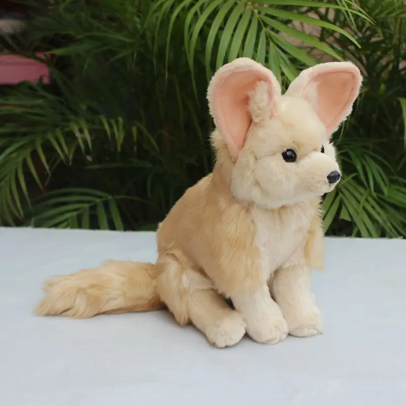 Fennec Fox, высокая точность, плюшевая пустыня, искусственные реалистичные животные, мягкая кукла, игрушка Kawai для детей
Fennec Fox, высокая точность, плюшевая пустыня, искусственные реалистичные животные, мягкая кукла, игрушка Kawai для детей