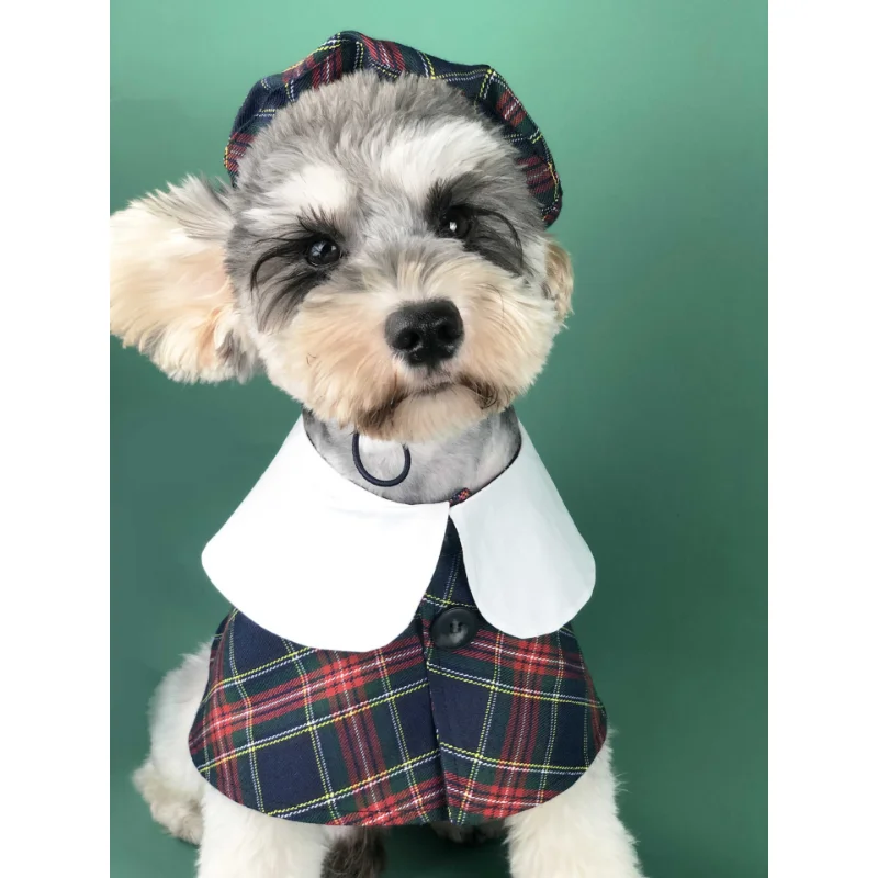 British Trend Pet Clothes, Spring Dress Cape, Cute Teddy Schnauzer, Bomeri Highlands, Corgi Pet
British Trend Pet Clothes, Spring Dress Cape, Cute Teddy Schnauzer, Bomeri Highlands, Corgi Pet