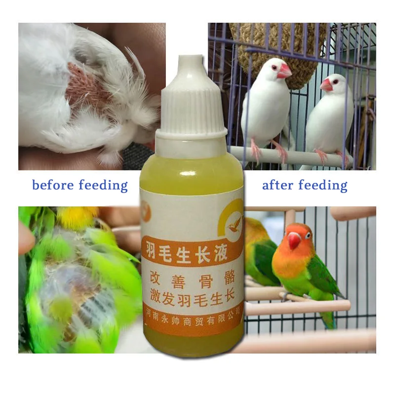Bird with Feather Auxin, Bird Moulting, Pecking, Broken Feather, Bird Without Feathers, Jade Bird, Thrush, Parrot
Bird with Feather Auxin, Bird Moulting, Pecking, Broken Feather, Bird Without Feathers, Jade Bird, Thrush, Parrot