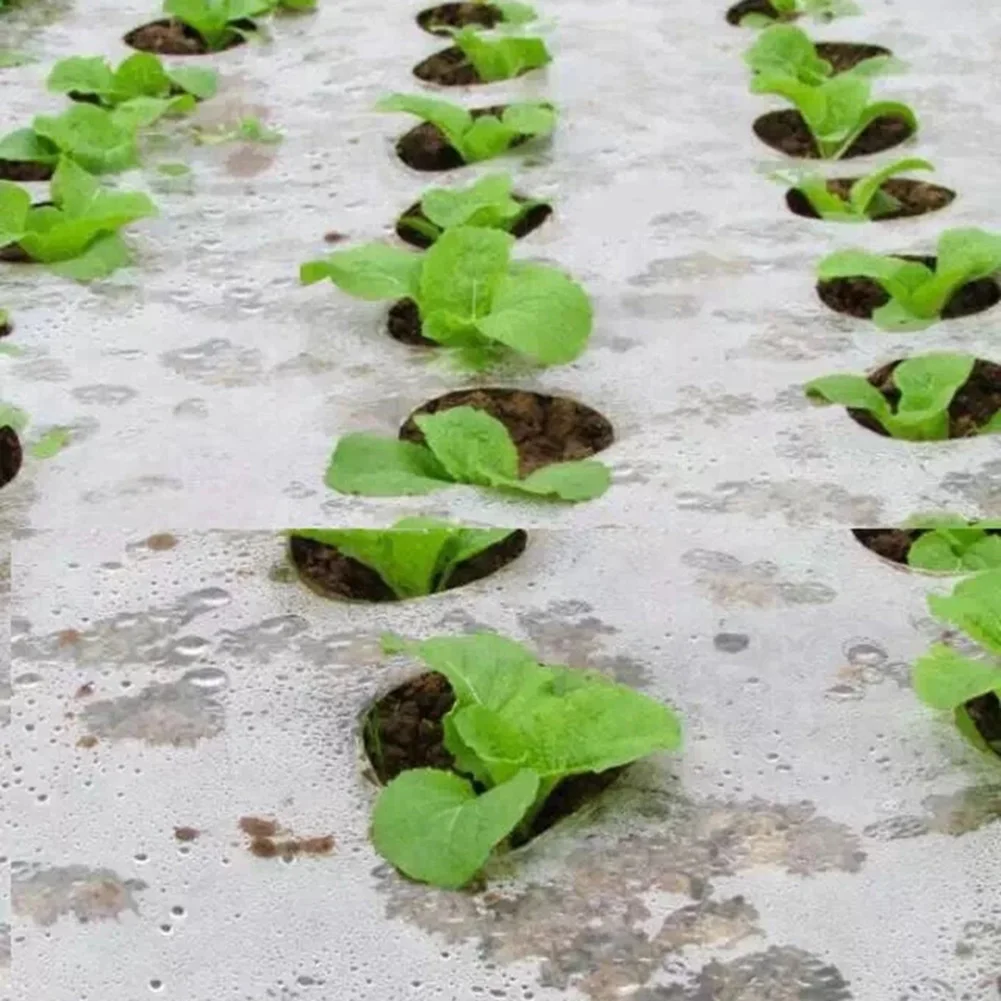 Agriculture Mulch Pre-punched Hole Plastic Film Plants Film Perforated Mulch Anti Grass Home Garden PE Vegetable Ground Cover
Agriculture Mulch Pre-punched Hole Plastic Film Plants Film Perforated Mulch Anti Grass Home Garden PE Vegetable Ground Cover