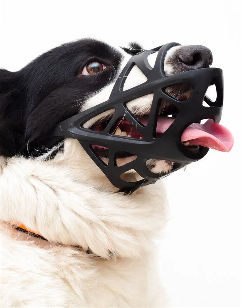 Basket Dog Muzzle Adjustable & Comfortable Secure Fit Durable Lightweight Rubber Dog Muzzle Stop Biting Safe Training
Basket Dog Muzzle Adjustable & Comfortable Secure Fit Durable Lightweight Rubber Dog Muzzle Stop Biting Safe Training
