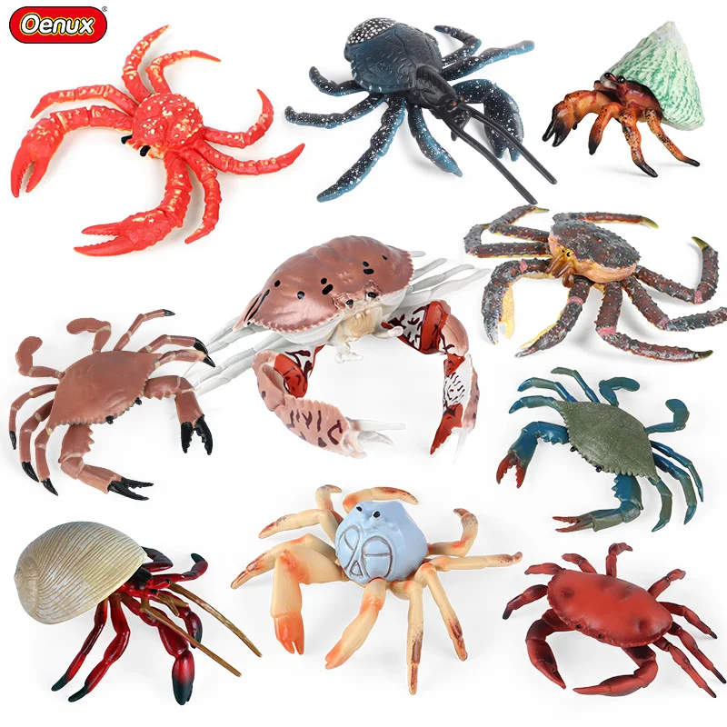 Имитация морской жизни, фигурки животных, король, паук, хлеб, грыжа, краб, модель, фигурки из ПВХ, высокое качество, миниатюрные игрушки для детей, подарки
Имитация морской жизни, фигурки животных, король, паук, хлеб, грыжа, краб, модель, фигурки из ПВХ, высокое качество, миниатюрные игрушки для детей, подарки