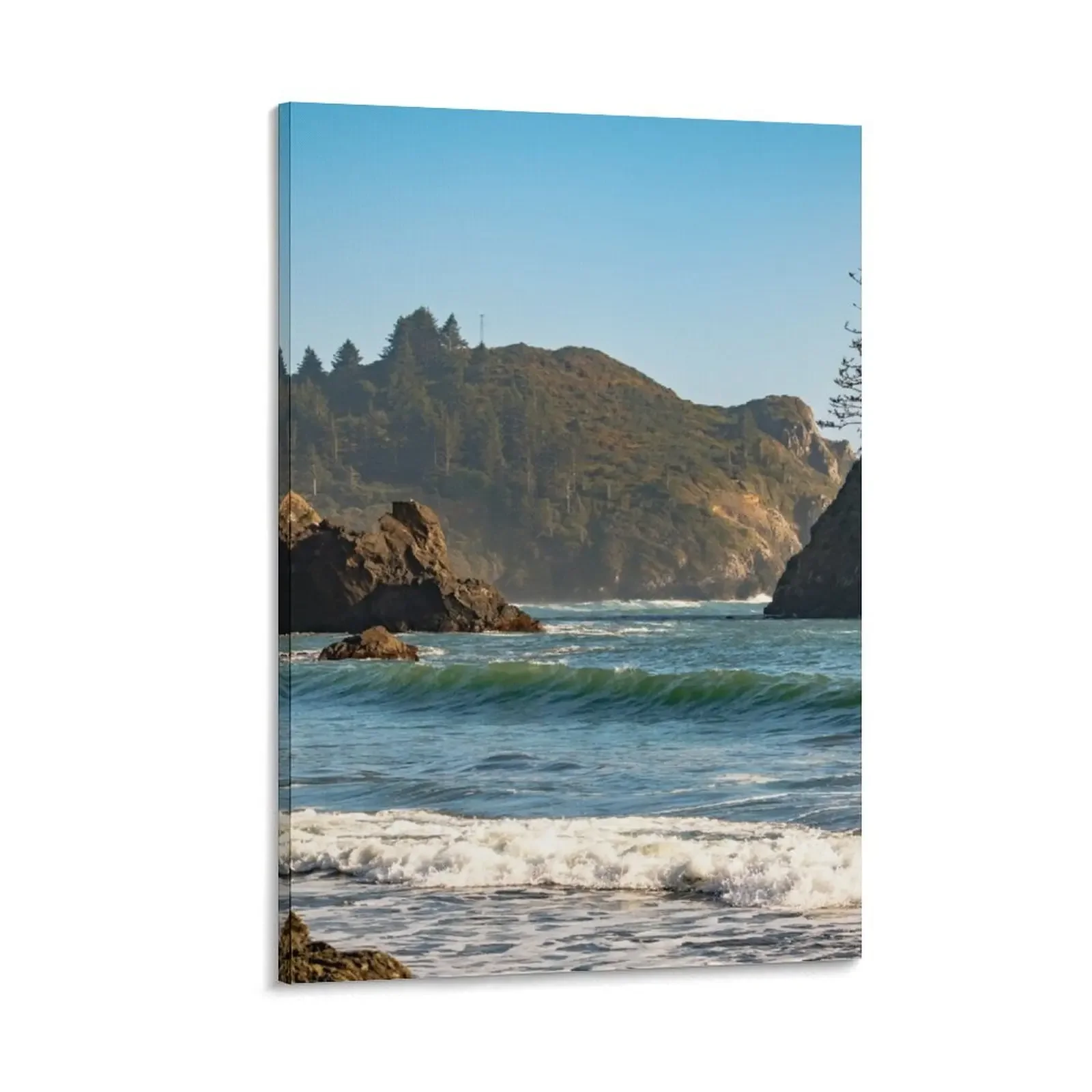 College Cove at daytime Canvas Painting nordic home decor wall art pictures for wall
College Cove at daytime Canvas Painting nordic home decor wall art pictures for wall