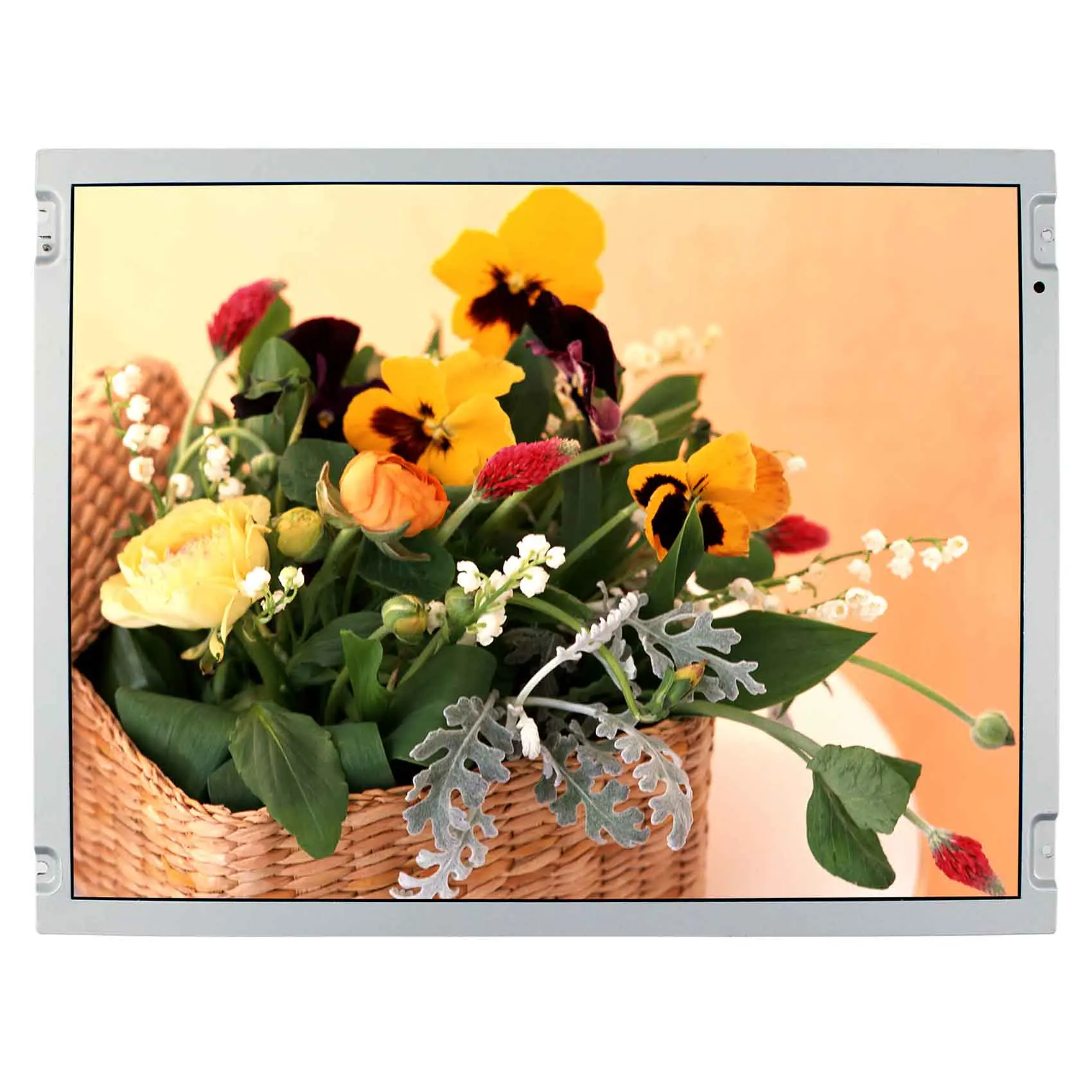 Промышленный ЖК-дисплей LQ150X1LW73 IPS 15 дюймов 1024X768 CCFL с подсветкой TFT
Промышленный ЖК-дисплей LQ150X1LW73 IPS 15 дюймов 1024X768 CCFL с подсветкой TFT