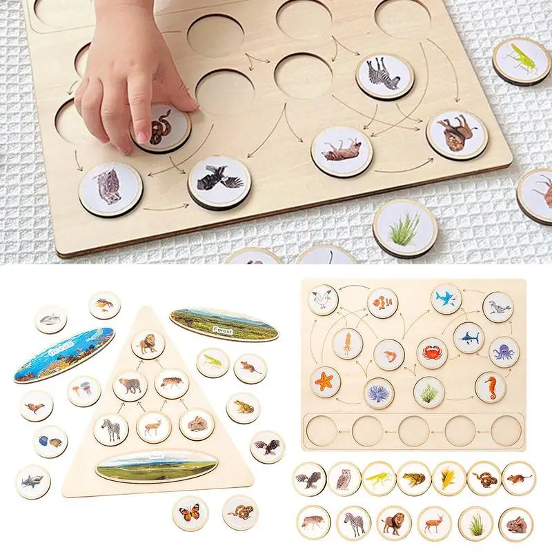 

Food Chain Puzzle Montessori Food Chain Cognitive Wooden Puzzle Nature Animal Puzzle Toys For Kids Cognitive Puzzle Educational