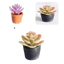 Mini Potted Cretive Scene Model Miniature for Micro Landscape Succulent Plant Model Mini Potted
Mini Potted Cretive Scene Model Miniature for Micro Landscape Succulent Plant Model Mini Potted