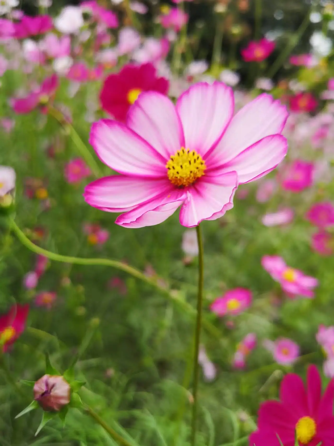 Фрахт Премиум
Фрахт Премиум