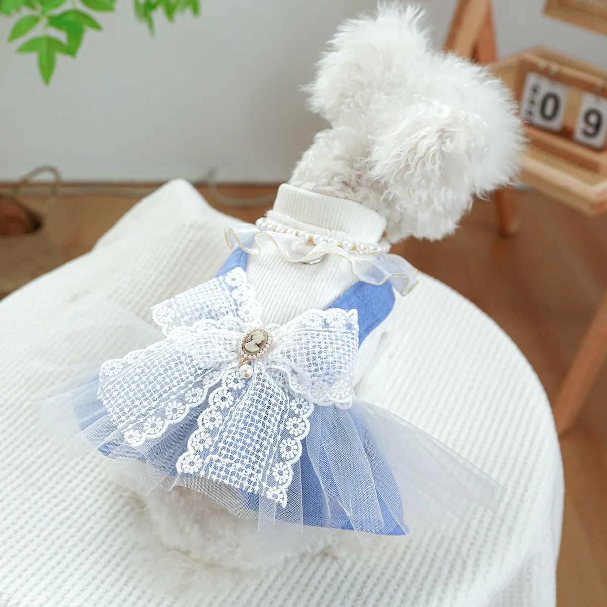 Pearl Lace Princess Dress for Dog and Cat, Cute Pet Clothing, Puppy Clothes, Beauty Dress
Pearl Lace Princess Dress for Dog and Cat, Cute Pet Clothing, Puppy Clothes, Beauty Dress