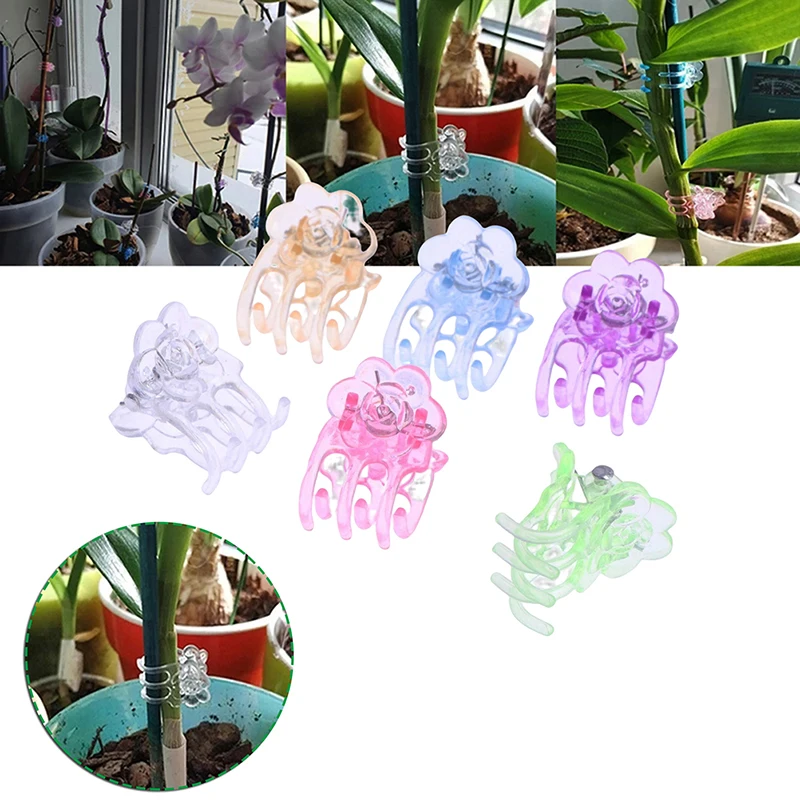 60Pcs/Pack 6 Colors Phalaenopsis Special Clip Plastic Orchid Clips Garden Support Clips Orchid Plant Vine Support
60Pcs/Pack 6 Colors Phalaenopsis Special Clip Plastic Orchid Clips Garden Support Clips Orchid Plant Vine Support