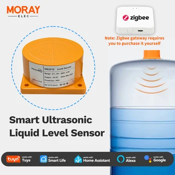MORAY ME201WZ Ultraschall Wasserstandsensor