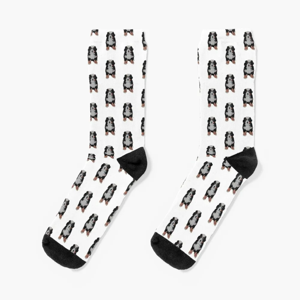 

My Friend's Burnese Mountain Dog Socks Gifts For Men