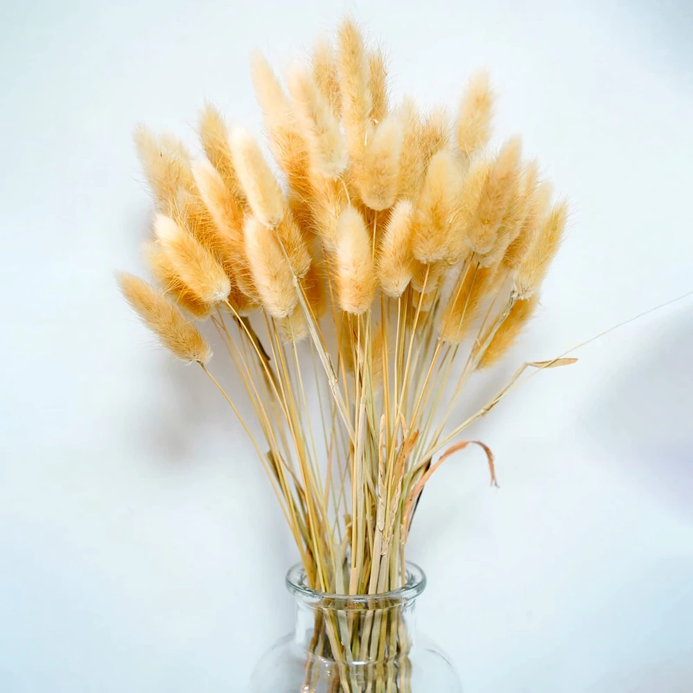 44pcs Pampas Grass Decor Home Cake Decor Rabbit Tails Dried Flowers Bouquet for Boho Table Decoration
44pcs Pampas Grass Decor Home Cake Decor Rabbit Tails Dried Flowers Bouquet for Boho Table Decoration