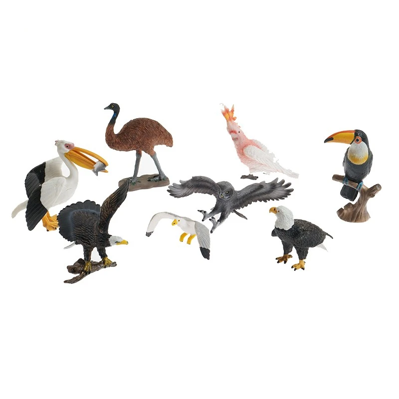

Montessori Language Materials Bird Figures Kids Learning Resources Early Childhood Education Toy Preschool Teaching Tools