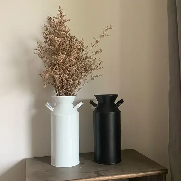 Black Double Handle Metal Vase Round Home Decoration Dried Flower Arrangements Vessel White Kettle Style Flower Bucket
Black Double Handle Metal Vase Round Home Decoration Dried Flower Arrangements Vessel White Kettle Style Flower Bucket