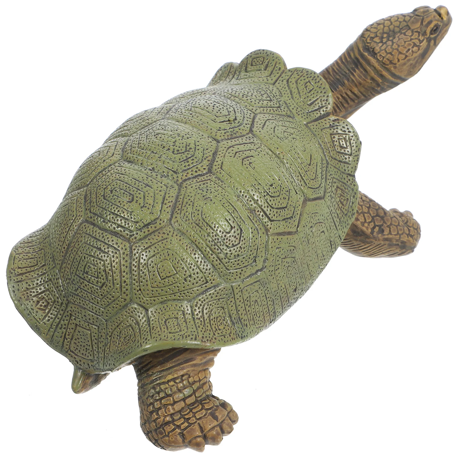 Fake Turtle Statue Simulation Turtle Figure Animal Figure Simulation Turtle Educational Toy
Fake Turtle Statue Simulation Turtle Figure Animal Figure Simulation Turtle Educational Toy