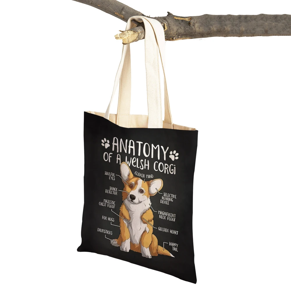 Cute Anatomy of A Shiba Inu Travel Shopping Bag for Women Both Print Reusable Modern Dog Ainmals Tote Shoulder Handbag Children
Cute Anatomy of A Shiba Inu Travel Shopping Bag for Women Both Print Reusable Modern Dog Ainmals Tote Shoulder Handbag Children