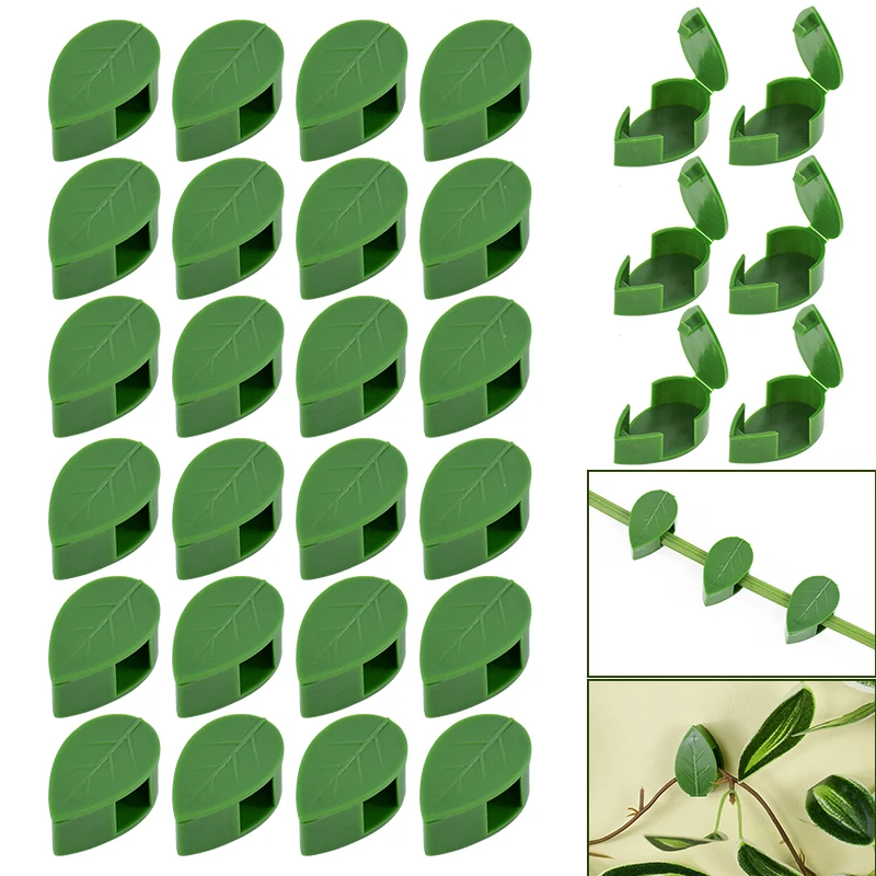 10pcs Invisible Plant Climbing Wall Fixture Rattan Bracket Fixed Buckle Leaf Clip Traction Holder Self-Adhesive Green Plant Clip
10pcs Invisible Plant Climbing Wall Fixture Rattan Bracket Fixed Buckle Leaf Clip Traction Holder Self-Adhesive Green Plant Clip