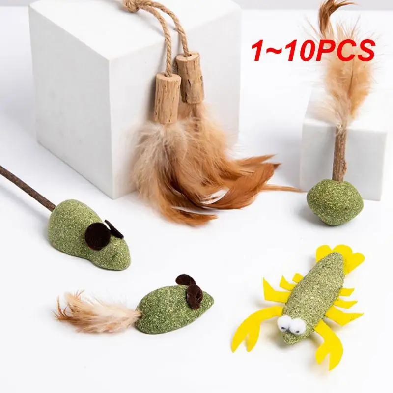 1 ~ 10 шт. мята для кошек, мята для кошек, съедобная кошачья мята, деревянная Полигональная кошачья мята, игрушки для кошачьей мяты, здоровая искусственная мята, шлифовальный стержень
1 ~ 10 шт. мята для кошек, мята для кошек, съедобная кошачья мята, деревянная Полигональная кошачья мята, игрушки для кошачьей мяты, здоровая искусственная мята, шлифовальный стержень