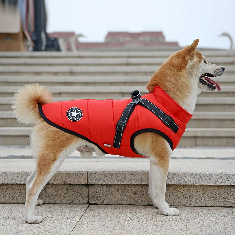 Pet Dog Jacket with Harness Winter Warm Dog Clothes Waterproof Dog Coat for Small Large Dogs Chihuahua Bulldog Outfits
Pet Dog Jacket with Harness Winter Warm Dog Clothes Waterproof Dog Coat for Small Large Dogs Chihuahua Bulldog Outfits