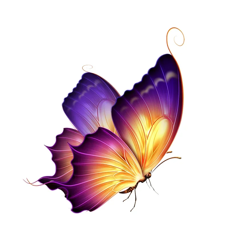 14cm Beautiful Color Butterfly Sticker for Car Stickers Cute, Products PVC Decoration Exterior Parts Accessories Cover Scratches
14cm Beautiful Color Butterfly Sticker for Car Stickers Cute, Products PVC Decoration Exterior Parts Accessories Cover Scratches