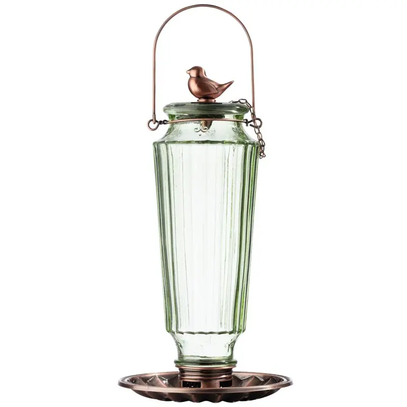 Glass Sunflower/Thistle Bird Feeder, Green, 2 lb Capacity Jeringa alimentacion aves Window hummingbird feeder Hummingbird feeder
Glass Sunflower/Thistle Bird Feeder, Green, 2 lb Capacity Jeringa alimentacion aves Window hummingbird feeder Hummingbird feeder