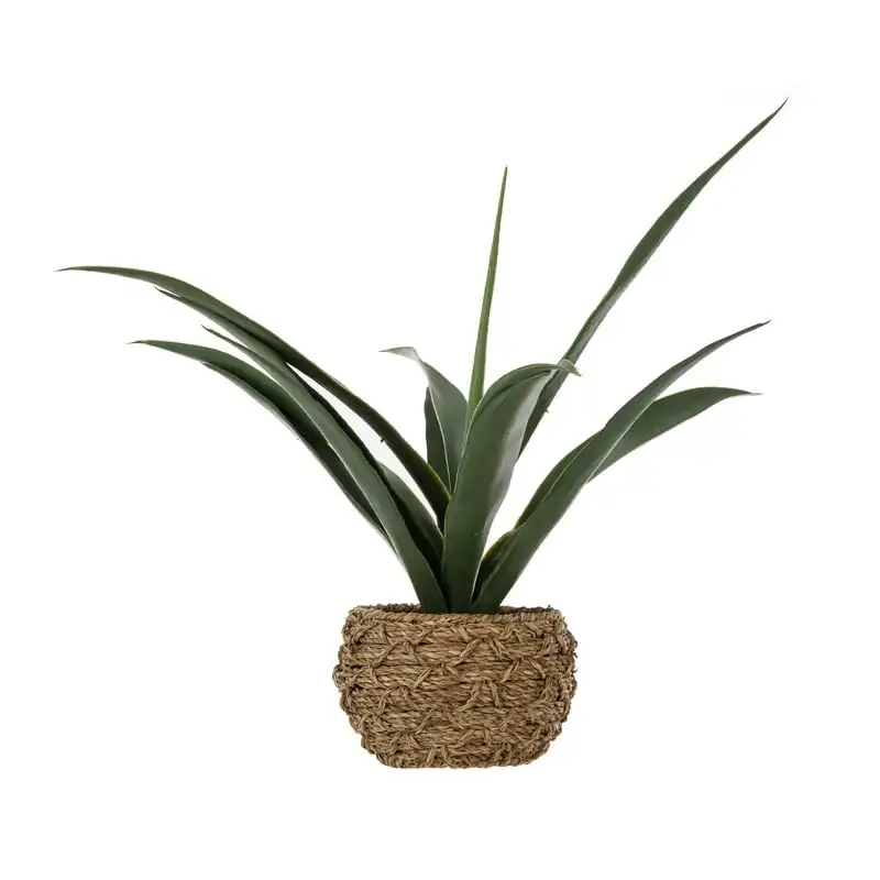 Artificial Pandanus Leaf Plant in Natural Seagrass Pot18 Eucalyptus garlands Party decorations for events Bridal bouquets for we
Artificial Pandanus Leaf Plant in Natural Seagrass Pot18 Eucalyptus garlands Party decorations for events Bridal bouquets for we
