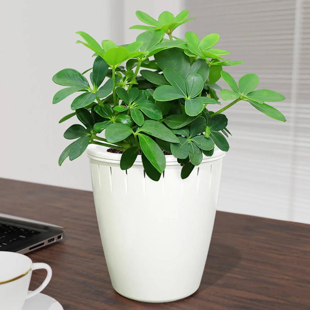 6pcs Self Watering Planter Succulent Plant Pot Automatic Water Absorption Flowerpot Indoor Home Decorative Garden Supplies
6pcs Self Watering Planter Succulent Plant Pot Automatic Water Absorption Flowerpot Indoor Home Decorative Garden Supplies