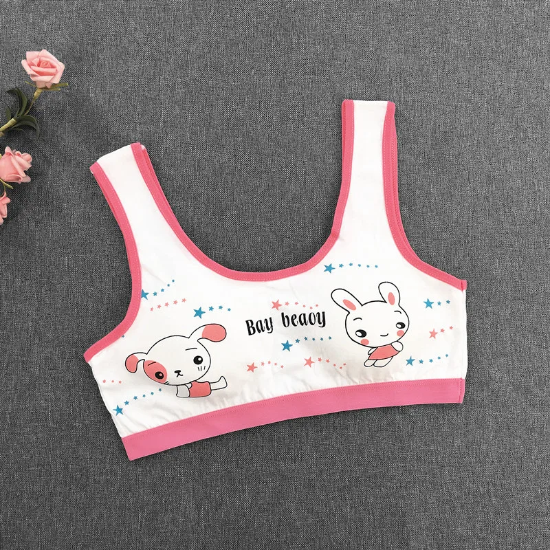 Teenage Girls Bra with Chest Pad Spaghetti Strap Cotton Bralettes for 8 9 10 11 12 13 14 15 16 Year Old Kid Underwear
Teenage Girls Bra with Chest Pad Spaghetti Strap Cotton Bralettes for 8 9 10 11 12 13 14 15 16 Year Old Kid Underwear
