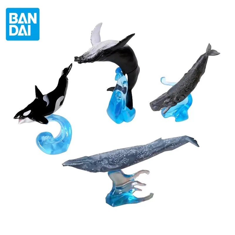 Bandai Gashapon Original Biographical Encyclopedia Anime Figure Whale Kids Toys Birthday Gift Home Decoration Collectible Model
Bandai Gashapon Original Biographical Encyclopedia Anime Figure Whale Kids Toys Birthday Gift Home Decoration Collectible Model