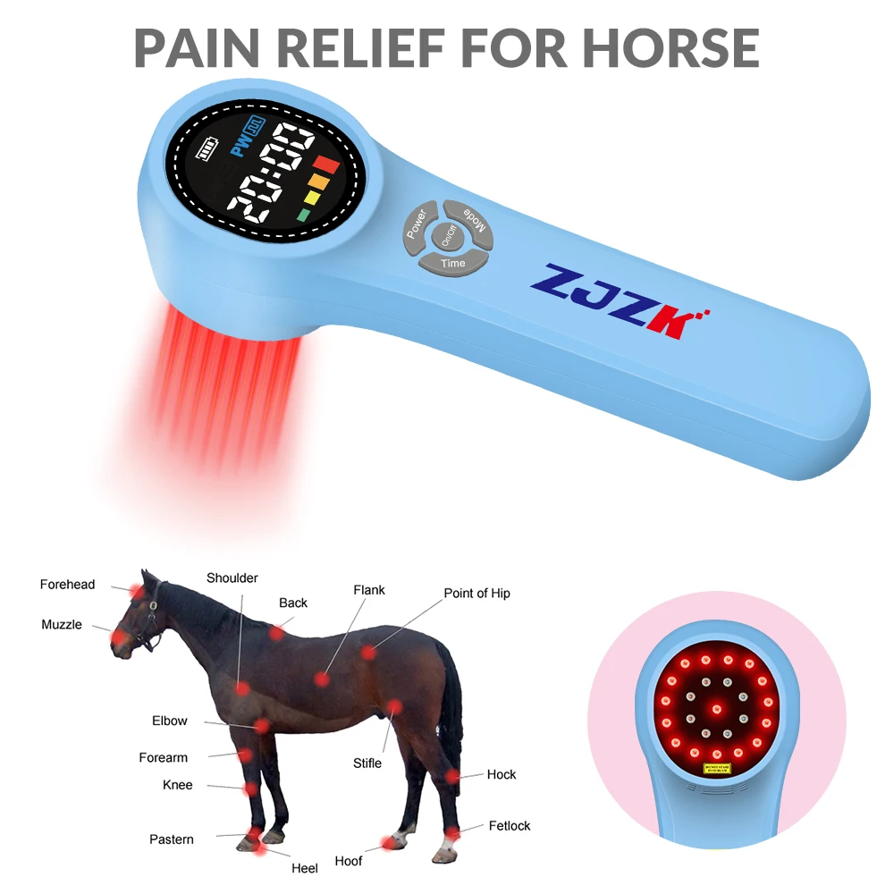 ZJZK Professional Therapeutic Laser Physiotherapy Light Therapy Devices Horses Use for Body Pain and Anti-inflammations Home Use
ZJZK Professional Therapeutic Laser Physiotherapy Light Therapy Devices Horses Use for Body Pain and Anti-inflammations Home Use