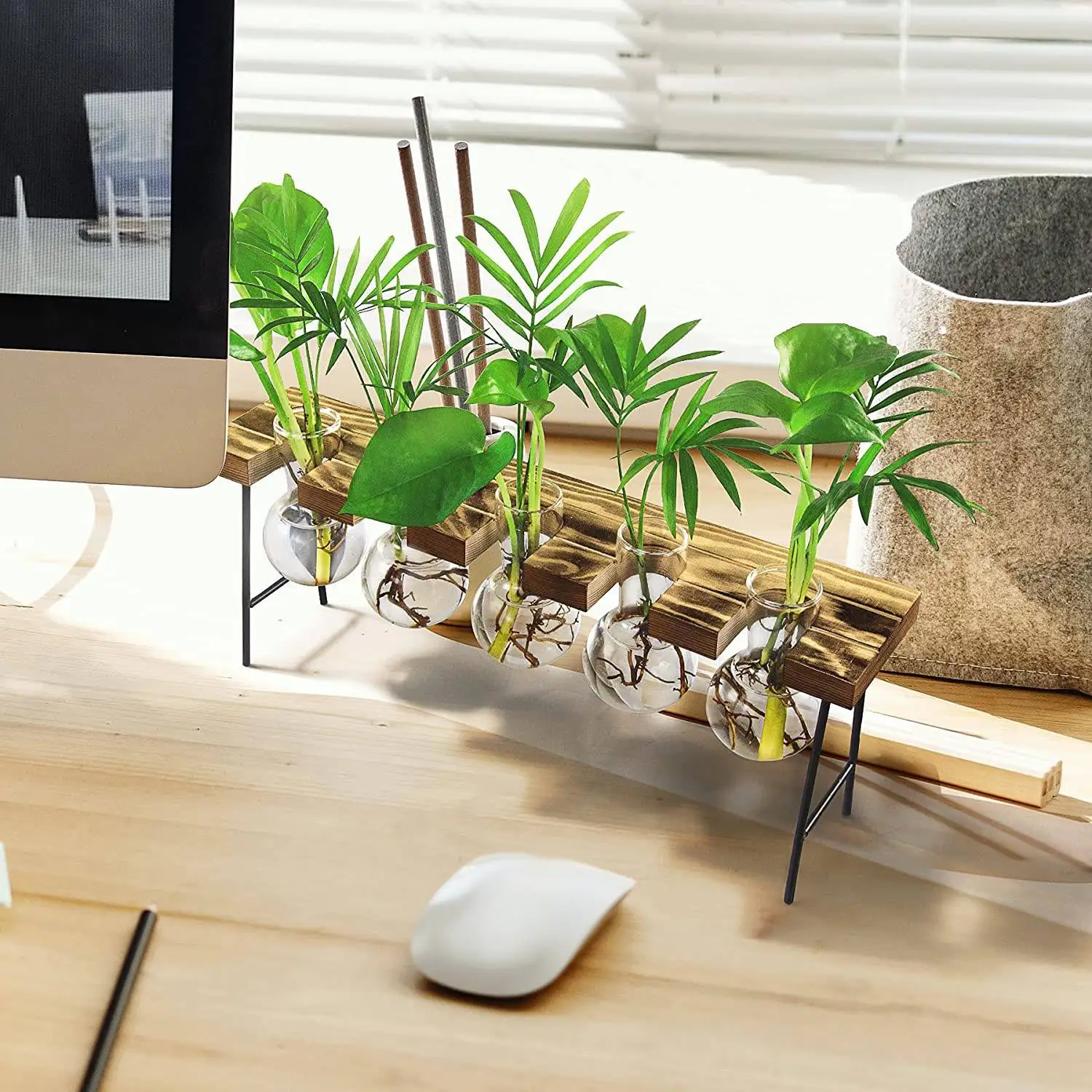 Propagation Stations Desktop Air Plant Terrarium, Glass Planter Bulb Glass Vase with Wooden Stand - Plant Terrarium
Propagation Stations Desktop Air Plant Terrarium, Glass Planter Bulb Glass Vase with Wooden Stand - Plant Terrarium