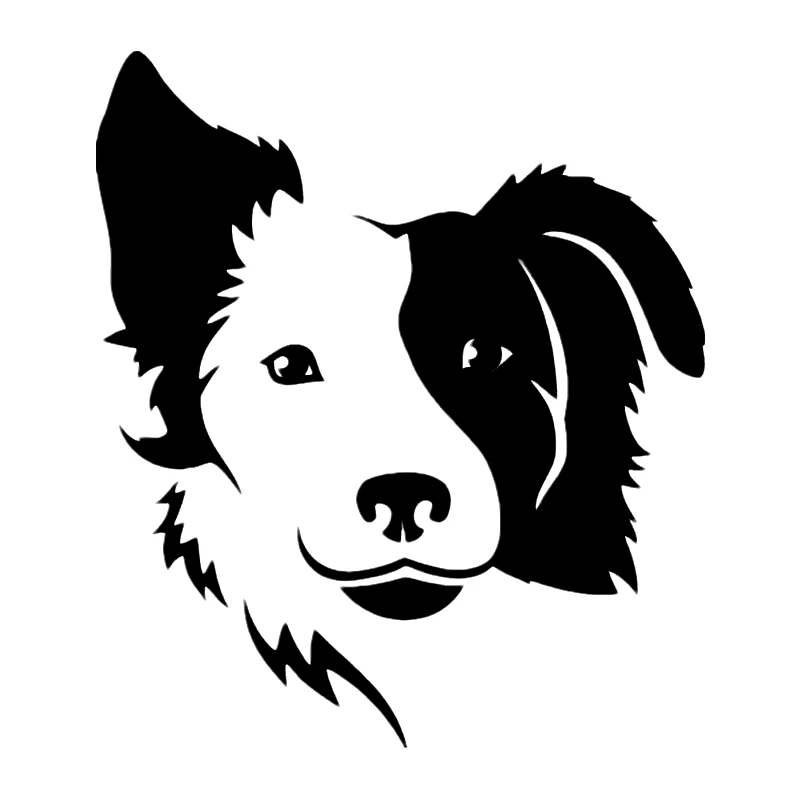 Vinyl Decal Border Collie 2 Car Sticker Waterproof Auto Decors for Bumper Rear Window Pegatinas Para Coche Car Accessories
Vinyl Decal Border Collie 2 Car Sticker Waterproof Auto Decors for Bumper Rear Window Pegatinas Para Coche Car Accessories