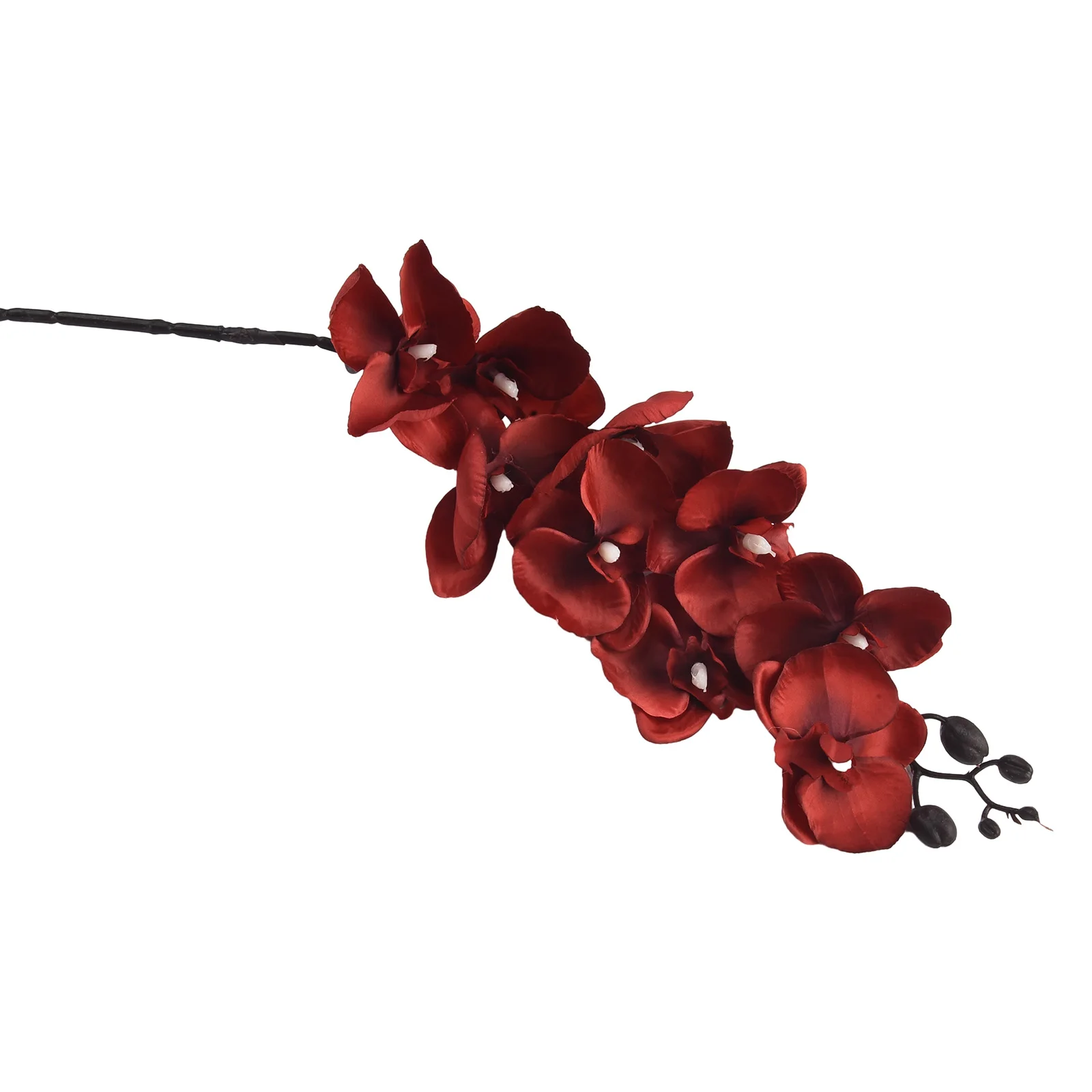 1pc Artificial Fake Silk Flower 9 Heads Lifelike DIY Phalaenopsis Butterfly Orchid For Home Wedding Store Party Decoration
1pc Artificial Fake Silk Flower 9 Heads Lifelike DIY Phalaenopsis Butterfly Orchid For Home Wedding Store Party Decoration