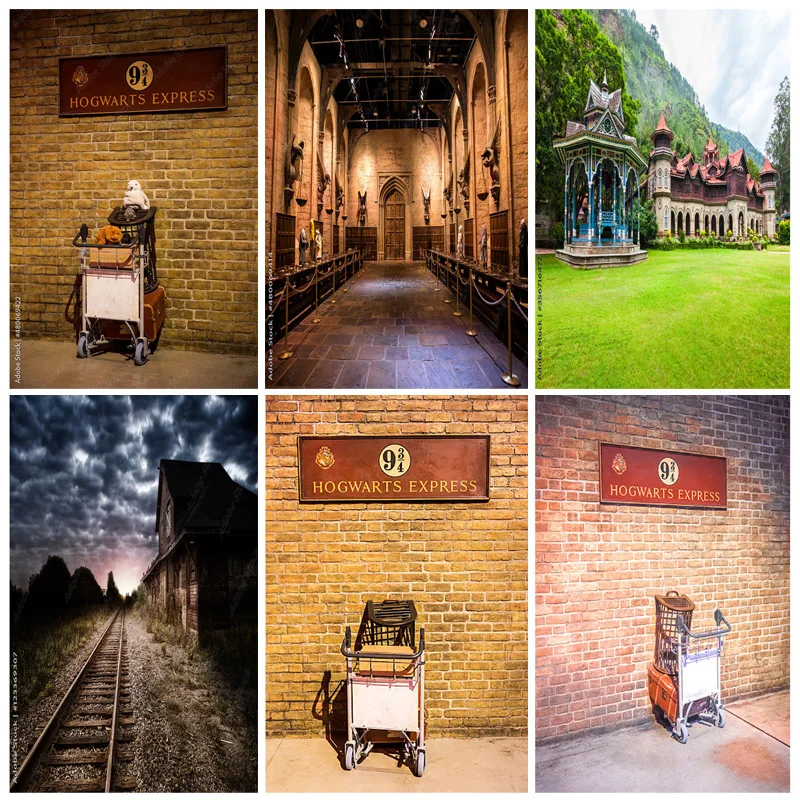 SHUOZHIKE Art Fabric Castle Broom Photography Background Heaven Magic School Photo Studio Backdrops Photocall HL-03
SHUOZHIKE Art Fabric Castle Broom Photography Background Heaven Magic School Photo Studio Backdrops Photocall HL-03