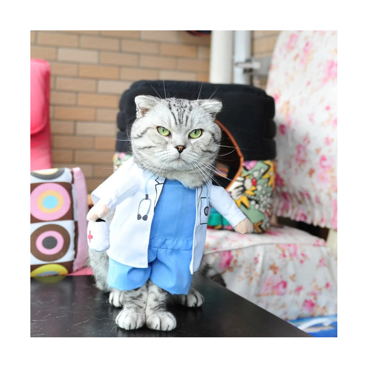 ClothesDog Clothes Guitar ClothingCat and Dog Pet ClothingStanding Clothes doctor Transformation ClothesFunny Clothes-XL
ClothesDog Clothes Guitar ClothingCat and Dog Pet ClothingStanding Clothes doctor Transformation ClothesFunny Clothes-XL