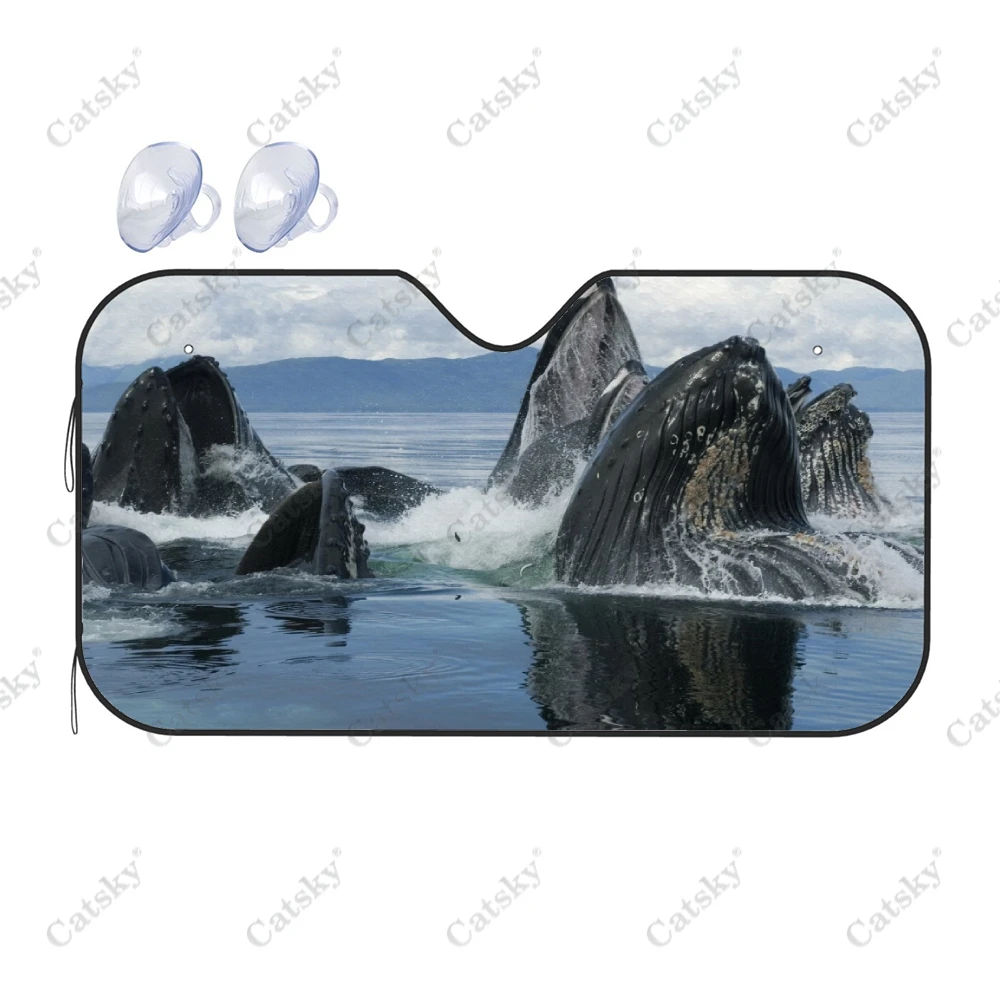 Солнцезащитный козырек для лобового стекла автомобиля Humpback, козырек для лобового стекла автомобиля, солнцезащитный козырек для автомобиля, отражатель тепла, солнцезащитный козырек с защитой от УФ-лучей
Солнцезащитный козырек для лобового стекла автомобиля Humpback, козырек для лобового стекла автомобиля, солнцезащитный козырек для автомобиля, отражатель тепла, солнцезащитный козырек с защитой от УФ-лучей