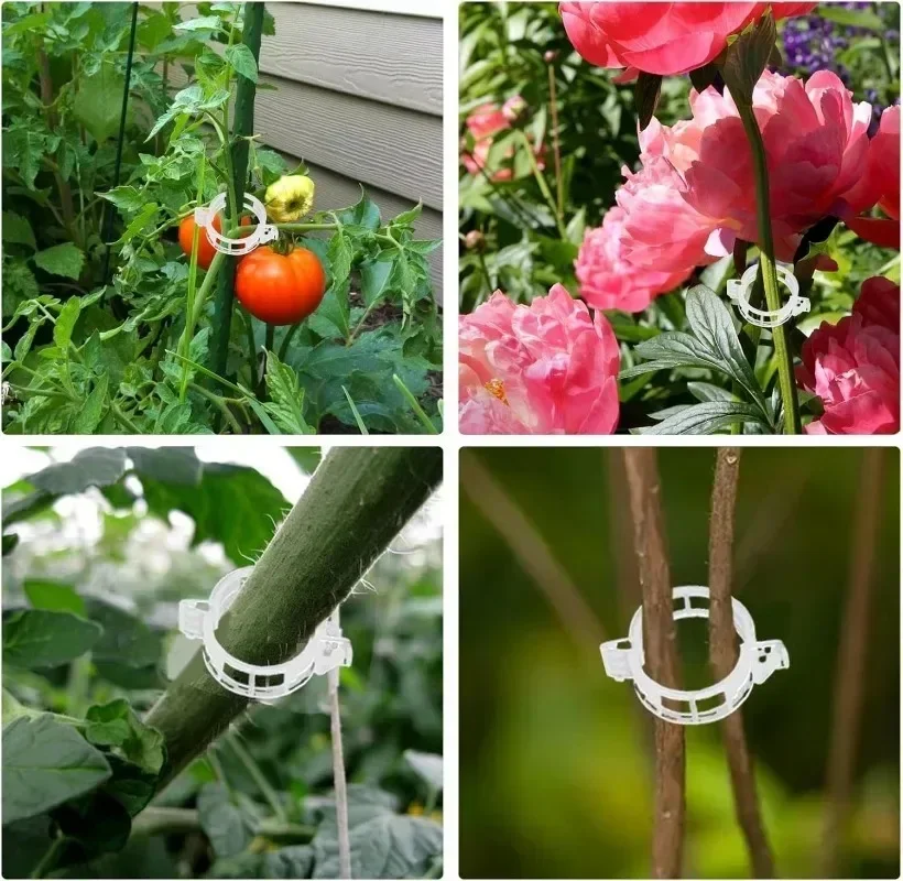 Tomato Vine Support Clips Sf0e031876a5c4bb585bef5c0d5c3b7f72