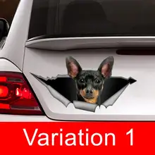 Pincher car decal , car decal, Vinyl decal,Pet sticker, Dog decal, pincher sticker 
Pincher car decal , car decal, Vinyl decal,Pet sticker, Dog decal, pincher sticker
