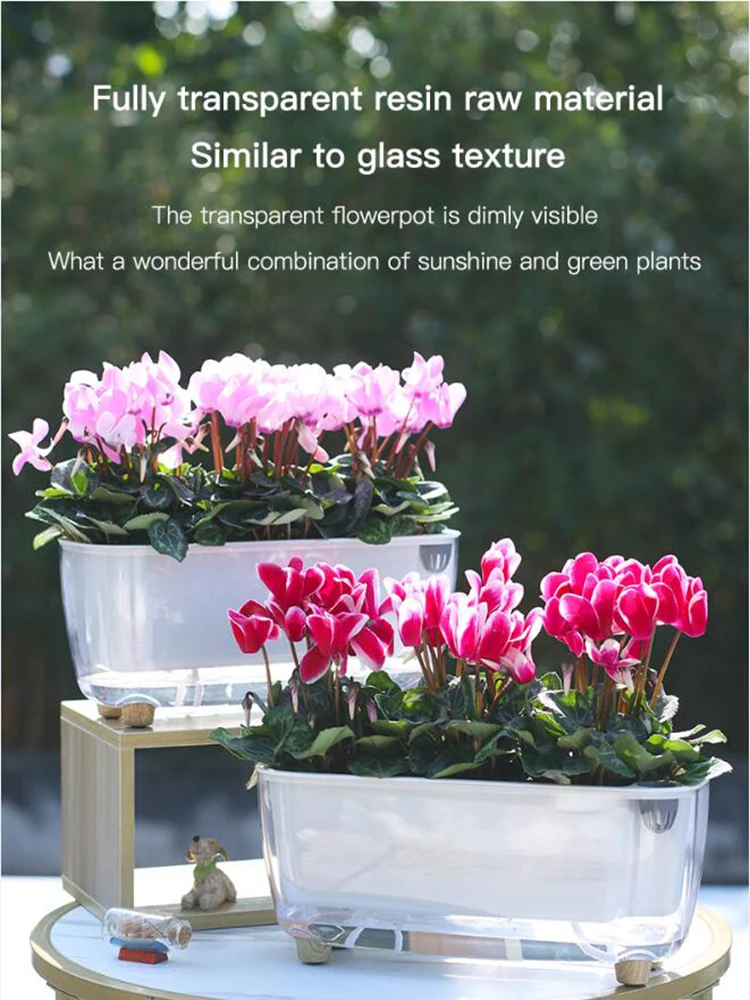 Full Transparent Flower Pots Greenhouse Self-Priming Plastic Creative Water Storage Flower Pots Hydroponics Self Watering Pots
Full Transparent Flower Pots Greenhouse Self-Priming Plastic Creative Water Storage Flower Pots Hydroponics Self Watering Pots