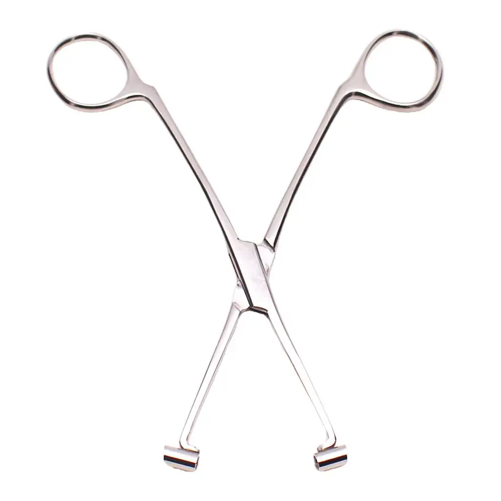 

6" Stainless Steel Septum Forceps Body Piercing Temporary Clamp Tool