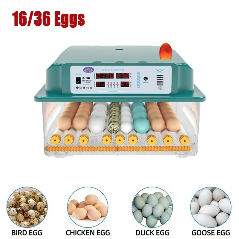 

Incubator Egg Fully Automatic Brooder Hatchery Machine Turner Home Incubator Controller Farm Egg Incubator Chickens Bird Egg