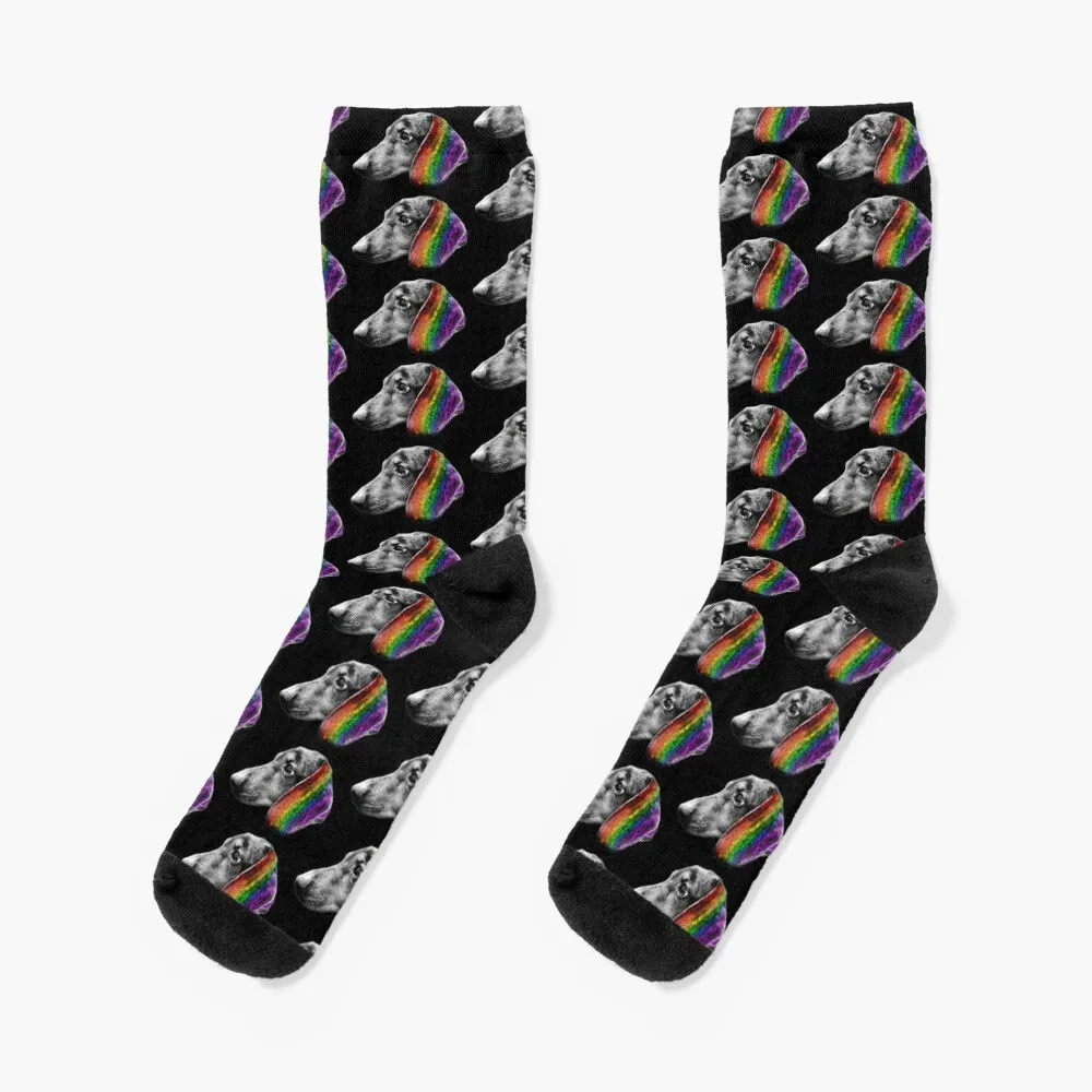 Doxie Rainbow Ear Socks Hiking boots loose gym hiphop Socks Men Women's
Doxie Rainbow Ear Socks Hiking boots loose gym hiphop Socks Men Women's