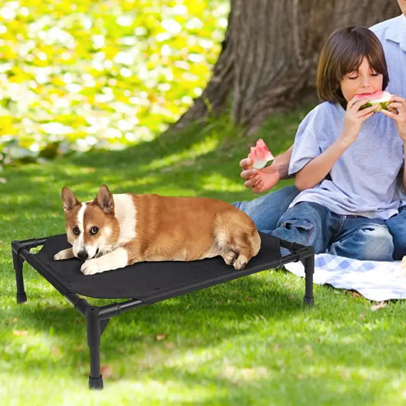 Outdoor Dog Bed Foldable Elevated Dog Bed With Removable Canopy Portable Dogs Shade Tent Camping Breathable Detachable Pet Cot
Outdoor Dog Bed Foldable Elevated Dog Bed With Removable Canopy Portable Dogs Shade Tent Camping Breathable Detachable Pet Cot