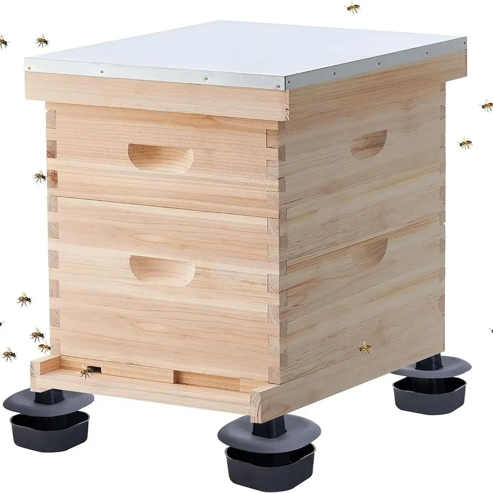 Garden Beehive Stands Accessories Sturdy Rainproof Bee Hive Feet Stand Outdoor Beehive Base
Garden Beehive Stands Accessories Sturdy Rainproof Bee Hive Feet Stand Outdoor Beehive Base
