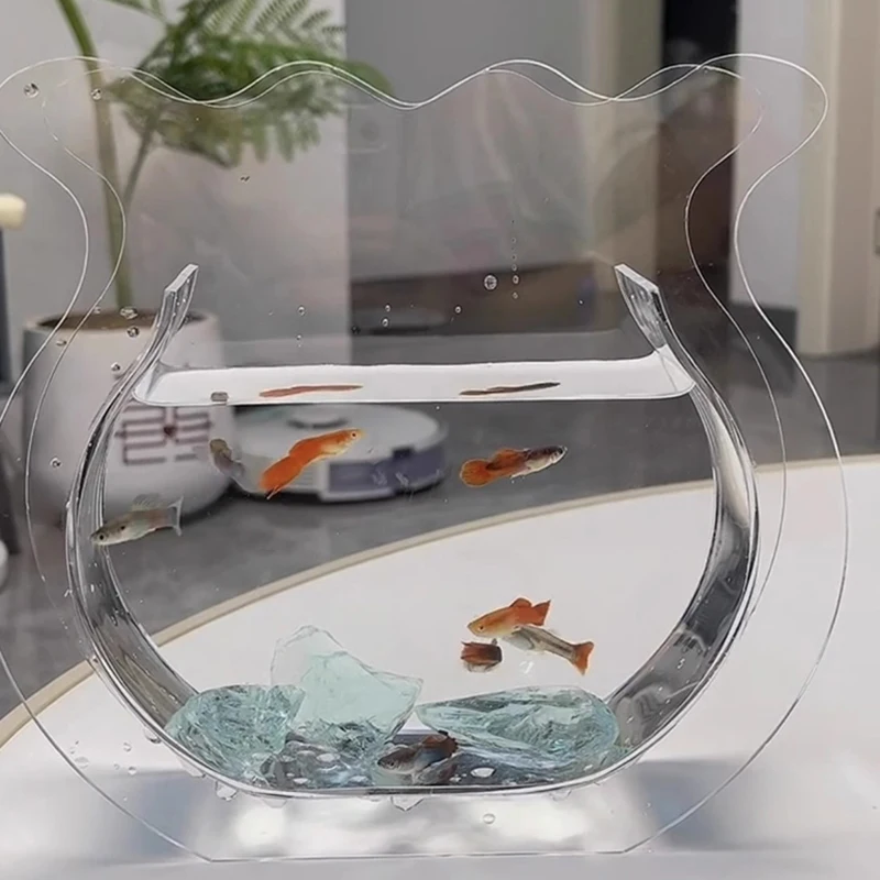 Jelly Beta Fish Tank Goldfish Spawn Glass Betta Fish Tank Equipment Gravel Aquadragons Bettera Acuario Office Decoration
Jelly Beta Fish Tank Goldfish Spawn Glass Betta Fish Tank Equipment Gravel Aquadragons Bettera Acuario Office Decoration